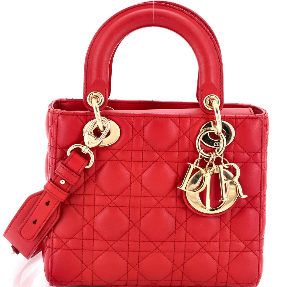 Christian Dior My ABCDior Lady Dior Bag